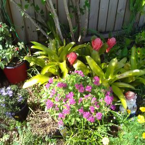 Meet your Posher, Penny